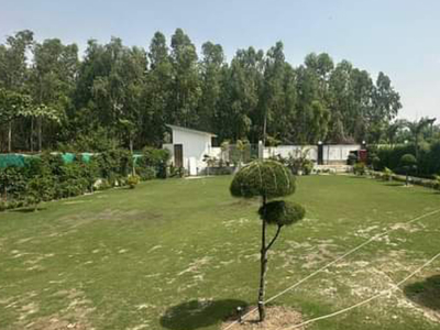 150 Sq.Yd. Plot in Greater Noida West Greater Noida