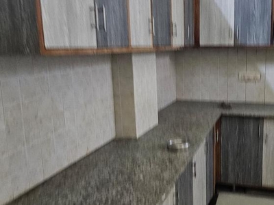 2 Bedroom 950 Sq.Ft. Apartment in Noida Central Noida