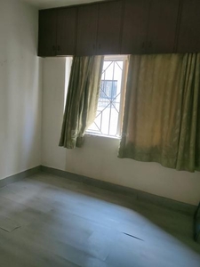 2 BHK Flat for rent in Deccan Gymkhana, Pune - 850 Sqft