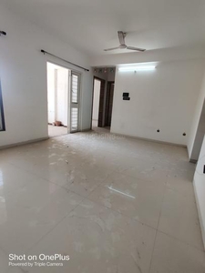2 BHK Flat for rent in Lohegaon, Pune - 975 Sqft