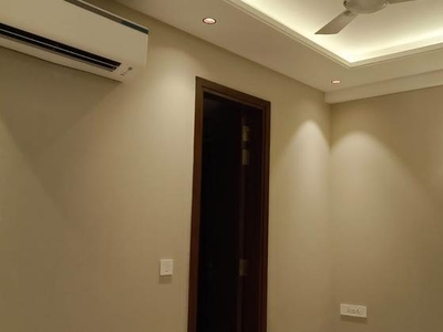 3 Bedroom 1550 Sq.Ft. Builder Floor in Saket Delhi