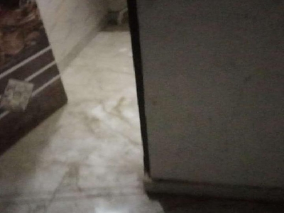 3 BHK House for Rent In Najafgarh Extension