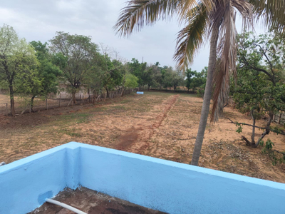 Agricultural Land 1 Acre for Rent in A. Vellalapatti, Madurai