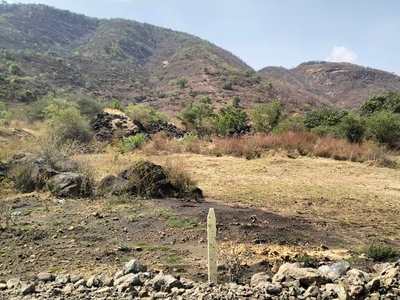 Commercial Land 122 Acre in Urse Pune