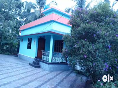 25 cent of land with house near central university of kerala periya