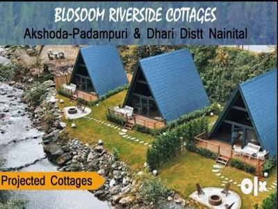 Blossom Riverside Cottages at Padampuri Distt Nainital