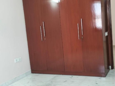 3 Bedroom 1450 Sq.Ft. Builder Floor in Chittaranjan Park Delhi