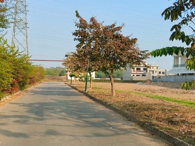 300 Sq.Yd. Plot in Sector 108 Mohali