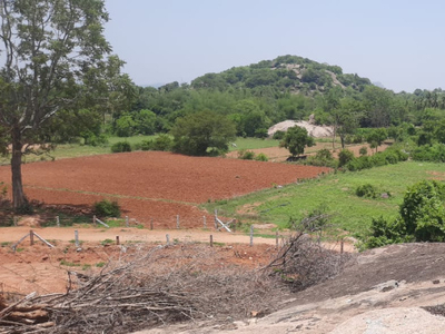 Agricultural Land 2 Acre for Sale in