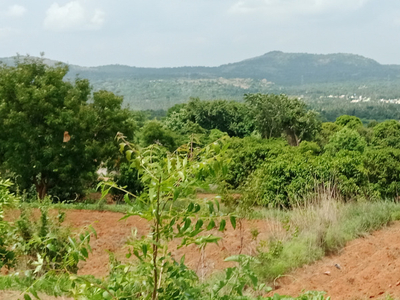 Agricultural Land 4 Acre for Sale in Ramanagara, Bangalore