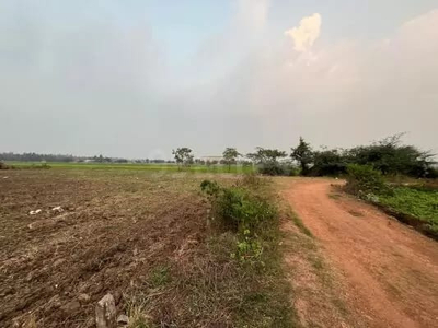 Industrial Land 6 Bigha for Sale in Mant, Mathura
