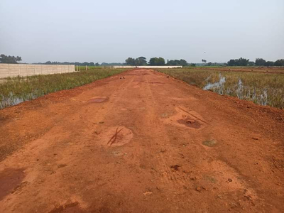 Residential Plot 1200 Sq.ft. for Sale in Pipili, Puri