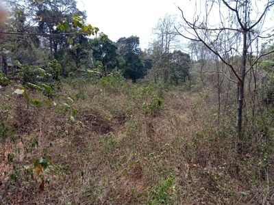 Residential Plot 420 Sq. Meter for Sale in Saligao, Goa