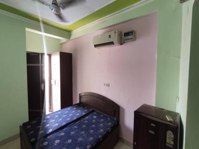 240 sq ft 1RK 1T IndependentHouse for rent in Project at Sector 24, Gurgaon by Agent seller