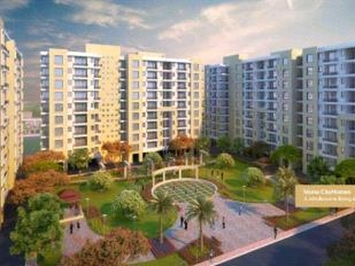 3 BHK Apartment For Sale in Mona Cityhomes Mohali