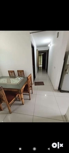 3bhk Neat and clean flat in Motia Royal Citi