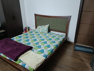 3 BHK Flat for rent in Sector 81, Faridabad - 1940 Sqft