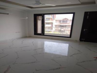1350 sq ft 2 BHK 2T BuilderFloor for rent in Project at Sector 23 Gurgaon, Gurgaon by Agent Gurgaon properties
