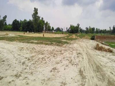 1000 sq ft East facing Plot for sale at Rs 5.00 lacs in The purvanchal city in Placio Road, Noida