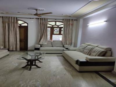 2000 sq ft 3 BHK 3T Apartment for rent in DLF Phase 2 at Sector 25, Gurgaon by Agent Tanisha Singh