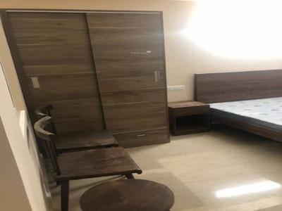 850 sq ft 1 BHK 1T BuilderFloor for rent in Project at Sector 28, Gurgaon by Agent New Door Properties