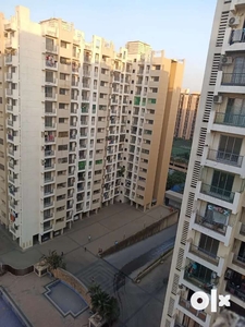 1bhk flat available for rent luxurious tower