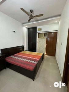 2bhk luxury fully furnished flat for rent jhungian road sec 125