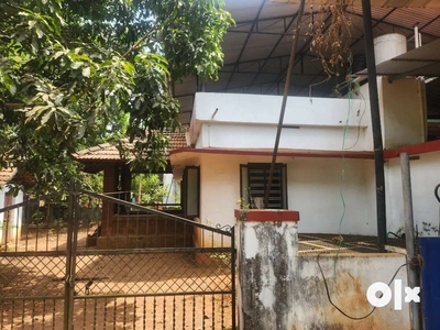 3 bhk House for rent Choorakkattukara near Amala Nagar Thrissur