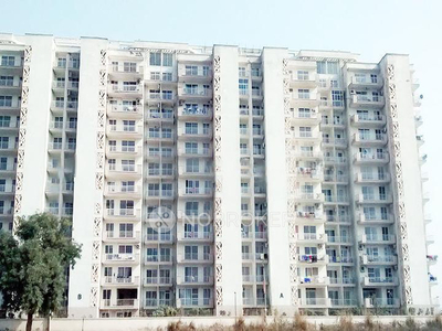 4 BHK Flat In Tulip Ivory Villas for Rent In Sector-70