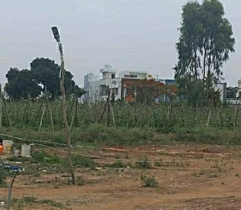 Akshaya Nagar Plot