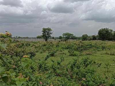 Commercial Land 30 Acre in Vikarabad Hyderabad