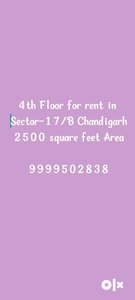 For rent sector-17 Chandigarh