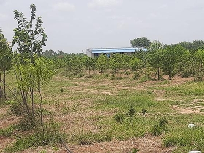 Gated Community Villa Framland Plots For Sale Near By Bhongir