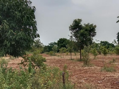 Gated Community Villa Framland Plots For Sale Near Sadashivpet