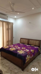Sector 89 Mohali 2BHk 2bath attached bath fully furnished only veg fam