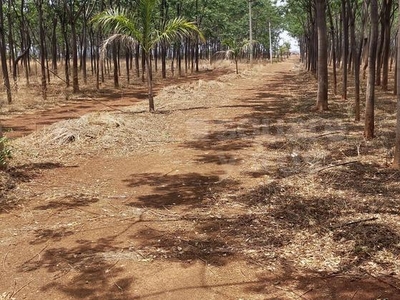 Suvidha Farm Site Yellakonda, Mehtabkhanguda