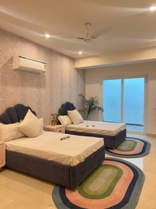 1350 sq ft 3 BHK 3T North facing BuilderFloor for sale at Rs 2.42 crore in Trehan Luxury Floors 71 in Sector 71, Gurgaon