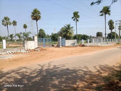 1620 sq ft East facing Plot for sale at Rs 39.60 lacs in HMDA APPROVED OPEN PLOTS in Tukkuguda, Hyderabad