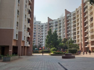 1730 sq ft 3 BHK 3T Apartment for rent in Sattva H And M Royal at Kondhwa, Pune by Agent Olive Estate