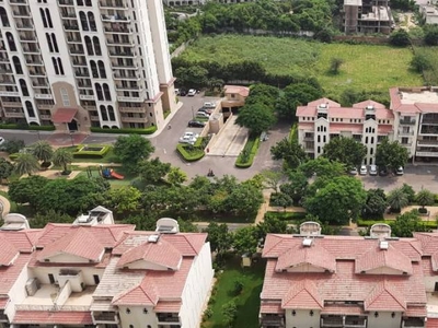1930 sq ft 3 BHK 3T East facing Apartment for sale at Rs 1.80 crore in DLF New Town Heights 2 in Sector 86, Gurgaon