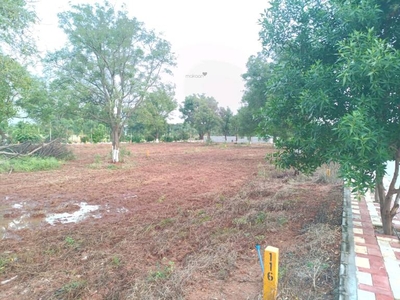 2430 sq ft Plot for sale at Rs 56.70 lacs in Akshita Natures Habitat in Shamirpet, Hyderabad