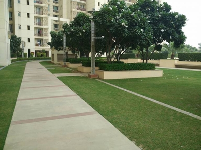 3000 sq ft 4 BHK 5T NorthEast facing Completed property Apartment for sale at Rs 6.90 crore in DLF The Summit in Sector 54, Gurgaon