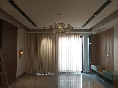 3450 sq ft 4 BHK 2T BuilderFloor for sale at Rs 3.90 crore in SS Mayfield Garden in Sector 51, Gurgaon