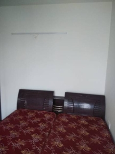 500 sq ft 2 BHK 2T Apartment for rent in ROF Aalayas at Sector 102, Gurgaon by Agent Dream House