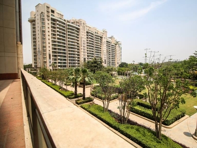 5600 sq ft 4 BHK 5T Apartment for sale at Rs 28.00 crore in DLF The Aralias in Sector 42, Gurgaon