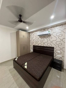 789 sq ft 1RK 1T Apartment for rent in Project at Sector 15, Gurgaon by Agent Ankit Bhardwaj BROKER