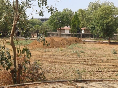 900 sq ft East facing Plot for sale at Rs 30.00 lacs in Project in Sector 33, Sohna, Gurgaon