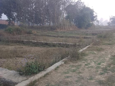 1000 Sq.Ft. Plot in Nh 24 Gorakhpur