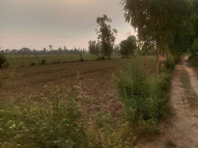 9660 Acre Plot in Kargaina Bareilly