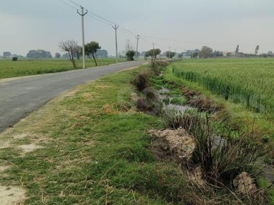 Commercial Land 8 Acre in Mant Mathura
